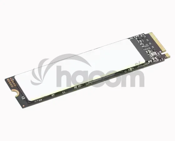 Lenovo ThinkPad/1TB/SSD/M.2 NVMe/1R
