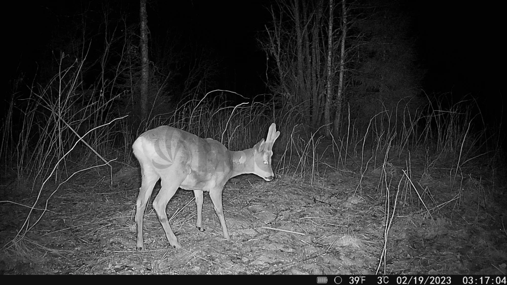 Fotopasca Hikmicro M15