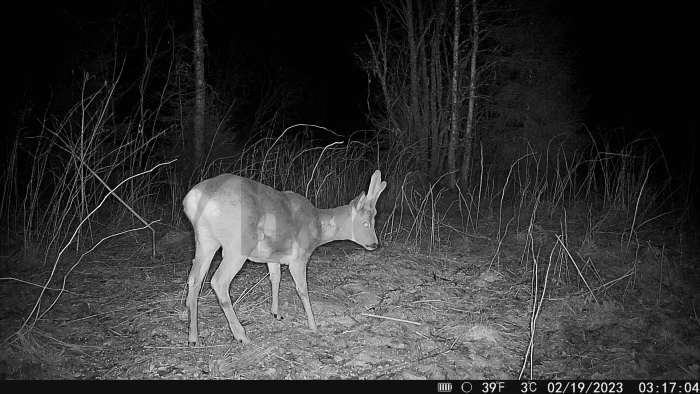 Fotopasca Hikmicro M15