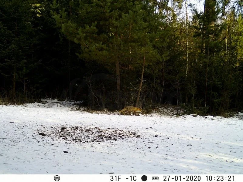 Fotopasca FOxcam Unka 30MPx. 940nm CZ/SK menu