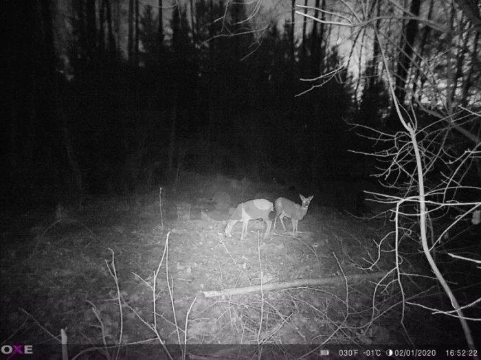 Fotopasca OXE Panther 4G